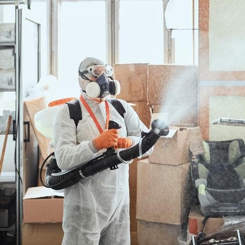 ViFREE Disinfectants